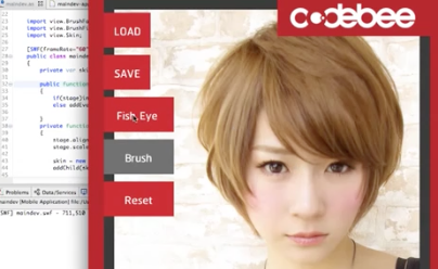 adobe air fish eye