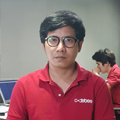 Development Manager