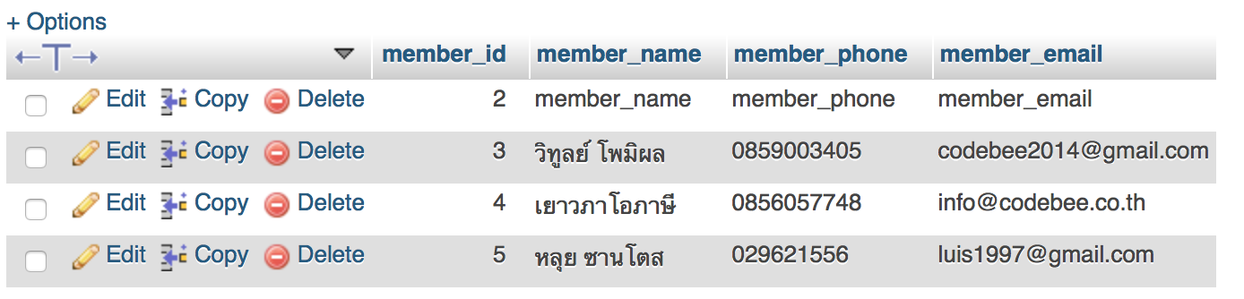 วิธี-export-excel-ไฟล์-ลงฐานข้อมูล