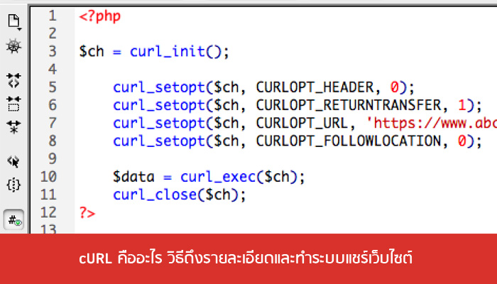 curl-คืออะไร