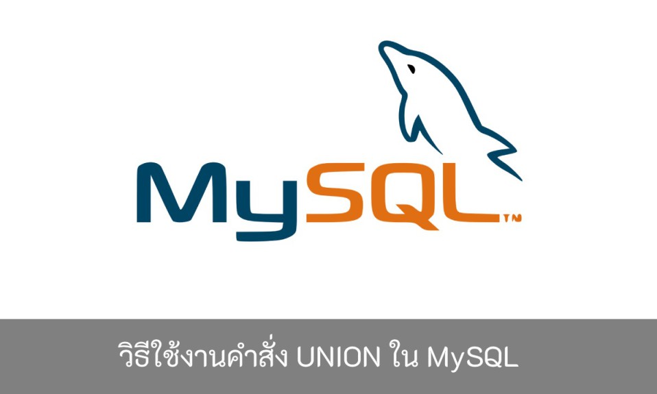 วิธีใช้งาน UNION ใน MySQL-2