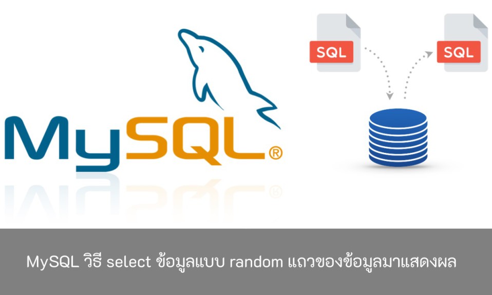 MySQL-วิธี-select-ข้อมูลแบบ-random-แถวข้อมูล