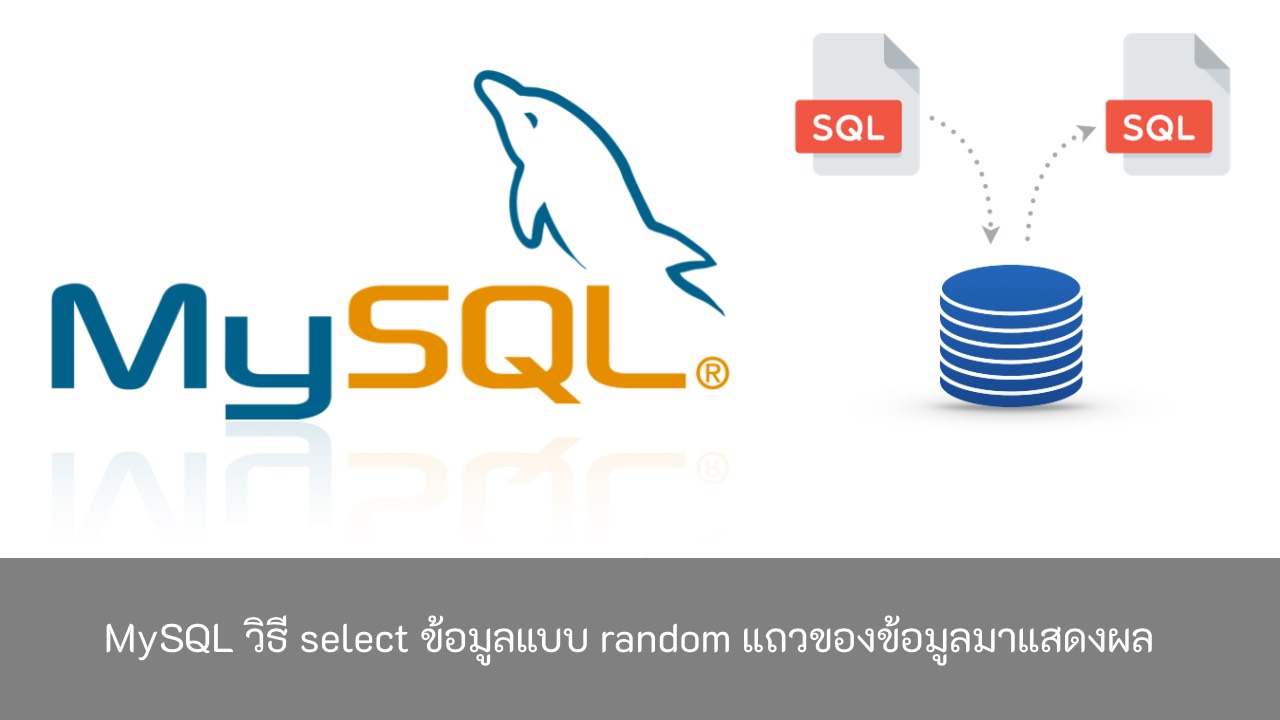 MySQL-วิธี-select-ข้อมูลแบบ-random-แถวข้อมูล