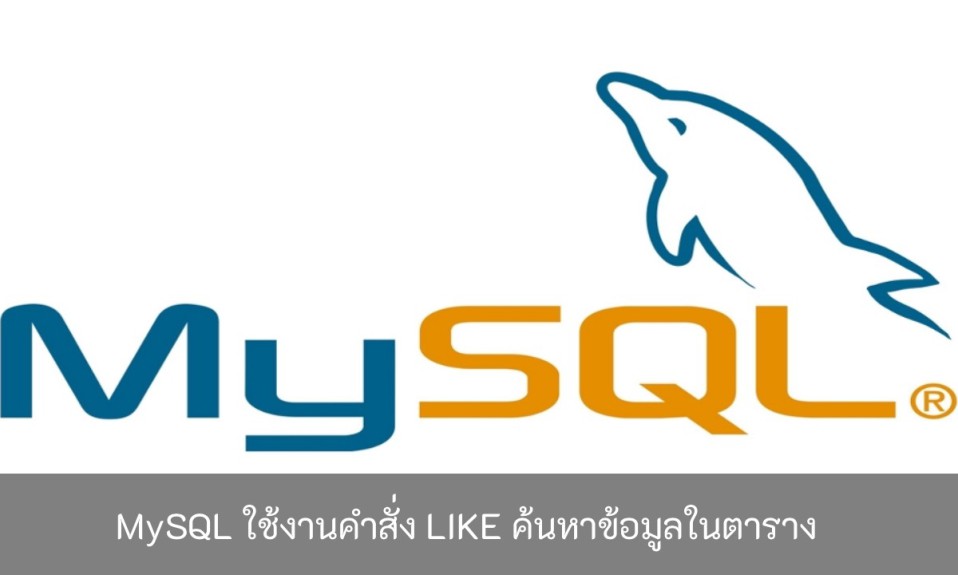 MySQL-ใช้งานคำสั่ง-LIKE-ค้นหาข้อมูลในตาราง