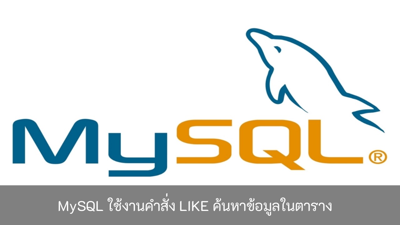 MySQL-ใช้งานคำสั่ง-LIKE-ค้นหาข้อมูลในตาราง